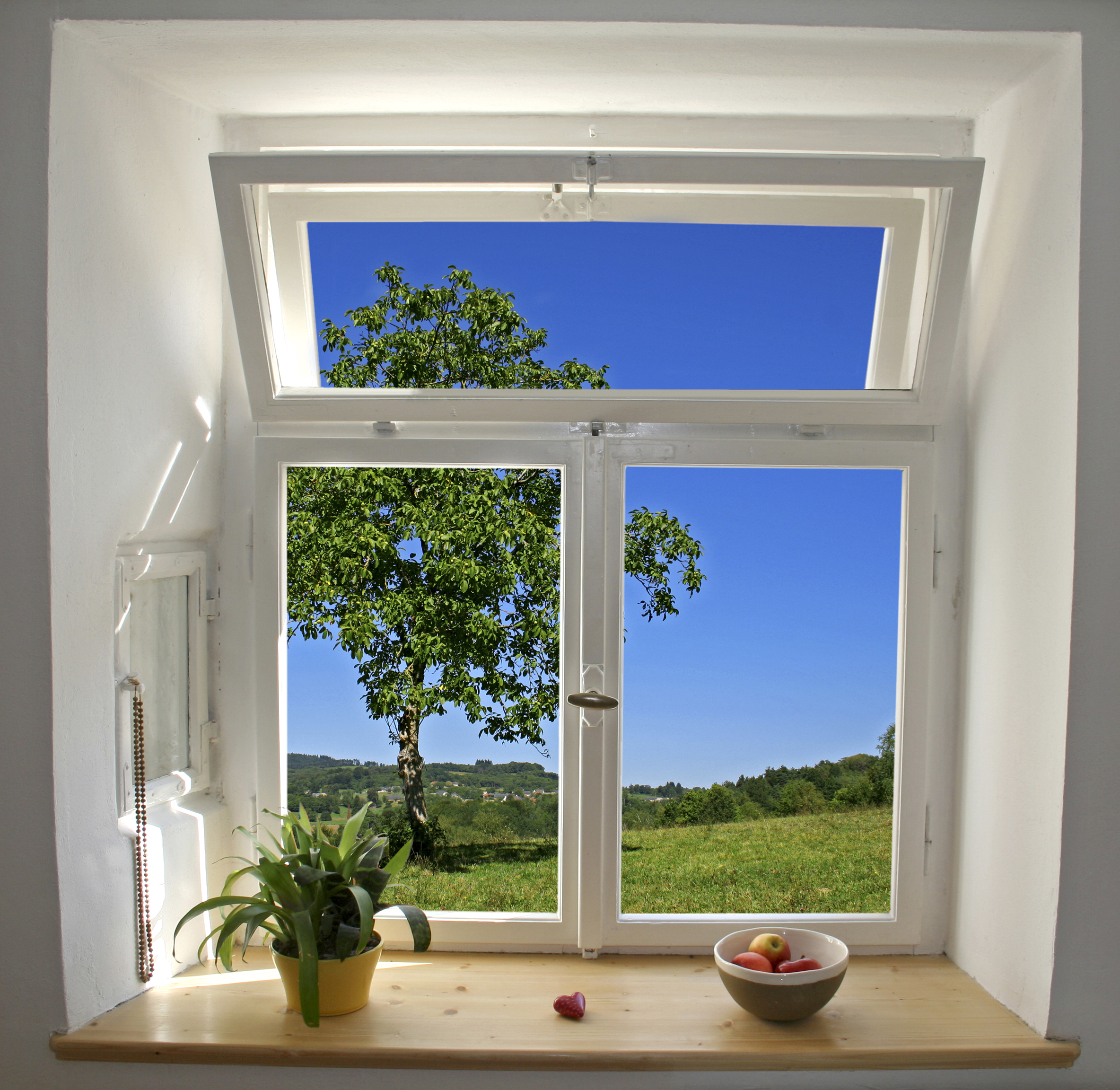 white wooden windows pane with apples and plant with outside view of tree and field
