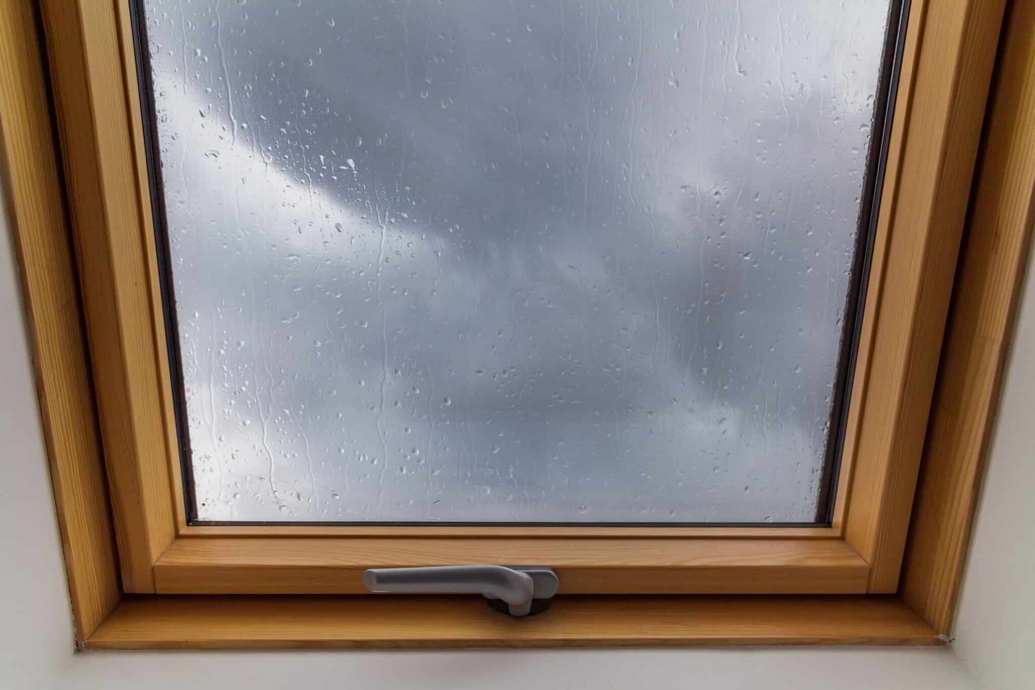 Hurricane-Proof Windows.