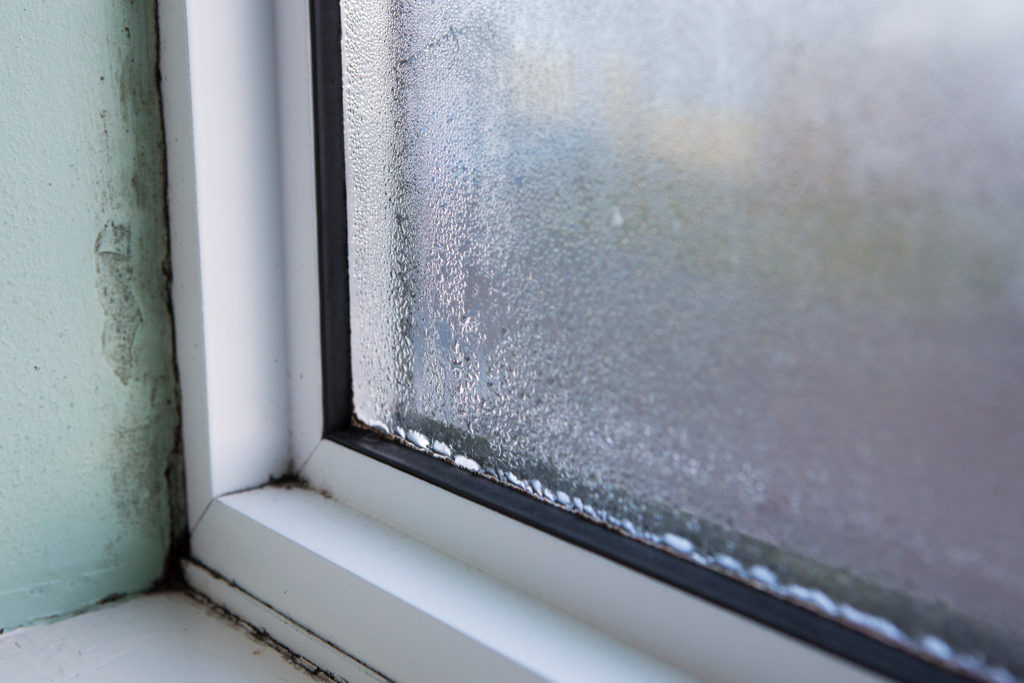 Warning Signs That Your Home Windows, In Lewisville, Need Replacing