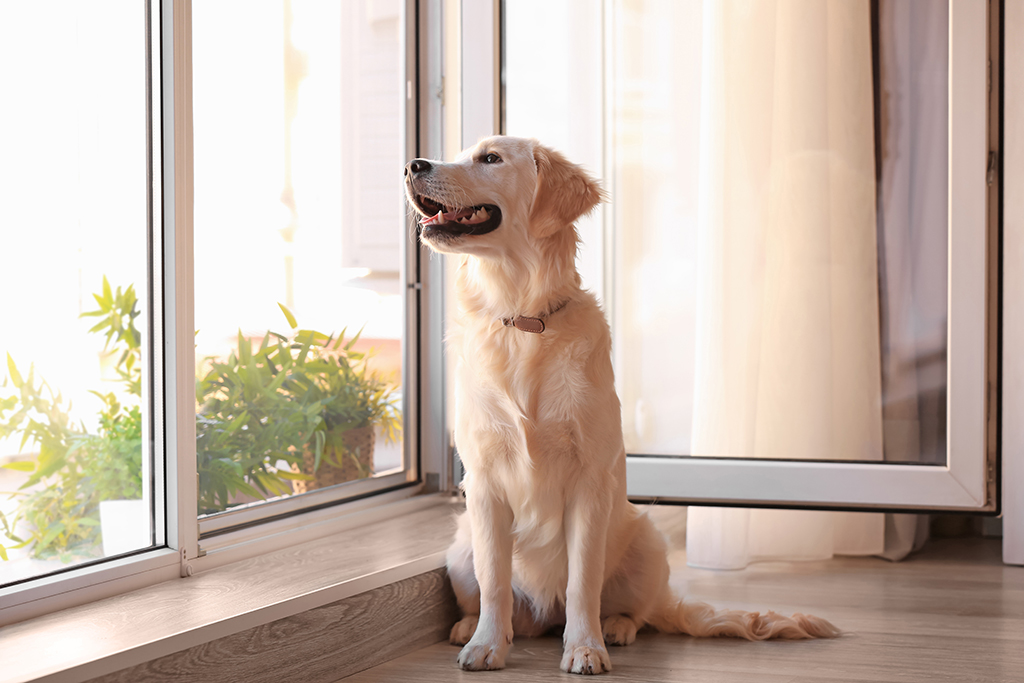 4 Reasons To Look For Energy Efficient Windows With Built-In Window Screens | Fort Worth, TX