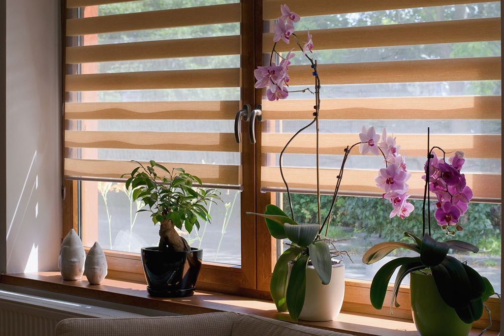 5 Reasons Why You Should Choose Wooden Home Windows | Lewisville, TX