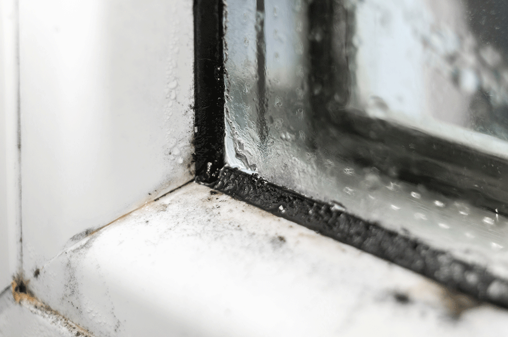 Is It Time To Replace Your Home Windows? | Fort Worth, TX