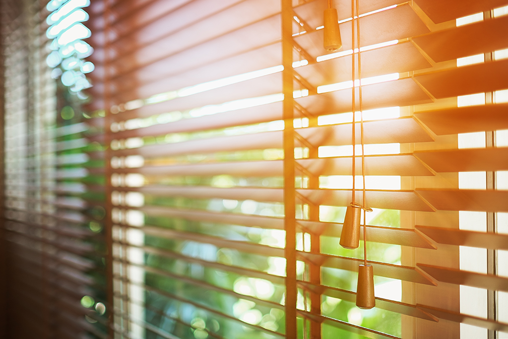 The Right Option For You In Custom Blinds And More | Dallas, TX
