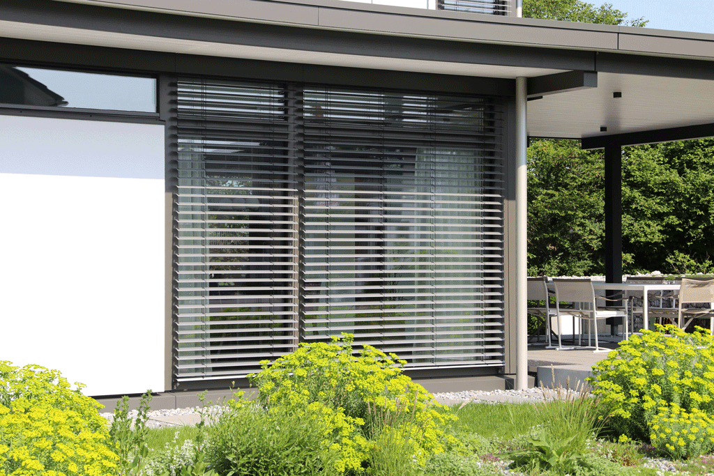 Blinds and Shutters: Transform Your Home with Elegance