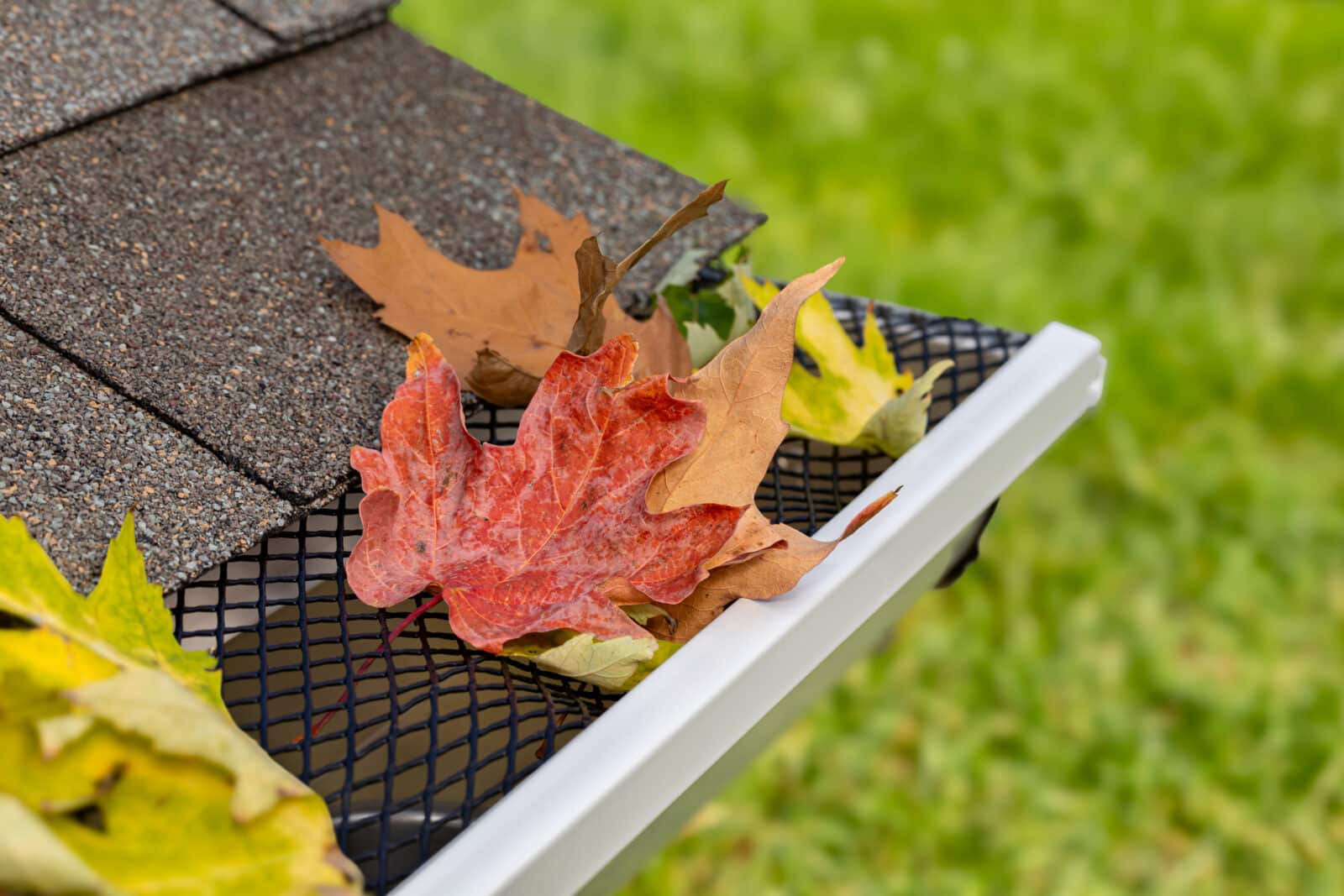 Gutter Cleaning Dallas Texas: Expert Tips & Costs | gutter cleaning ...