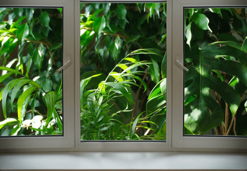 Eco-Friendly Window Materials