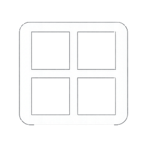 Window icon